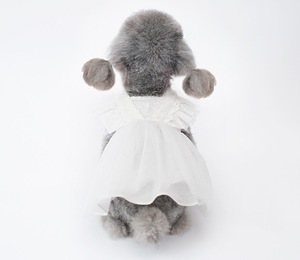 JXANRY Vestido de Verano para Mascota, Traje de Tela Maltesa con Estilo Princesa, Colección Primavera/Verano - Product Image 2