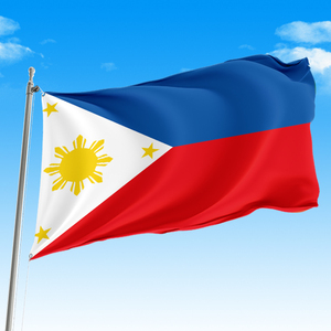 מותאם אישית 3*5 ft Philippine הדגל הלאומי 100% פוליאסטר יום הבחירות דגל המדינה דיגיטלי מודפס עבור כל מדינה - Product Image 2