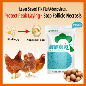 CY Anti-Grippe-Pulver Geflügel-Nahrungsergänzungsmittel |   Breitspektrum-Antiviralkur & Immunsystem-Booster |   Geflügelfutterzusatz - Product Image 2