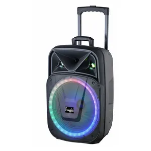 Flagsail new popular hifi audio mini altoparlanti di sistema macchina professionale per karaoke con due microfoni wireless per importatore