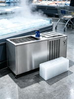 Usine professionnelle de fabrication de blocs de glace avec système de réfrigération à double vis pour les hubs de la chaîne du froid