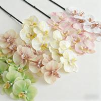 Desain Baru Bunga Anggrek Phalaenopsis Buatan Lateks Berkualitas Tinggi Mewah Sentuhan Nyata Anggrek Kupu-Kupu Wisuda Tahun Baru