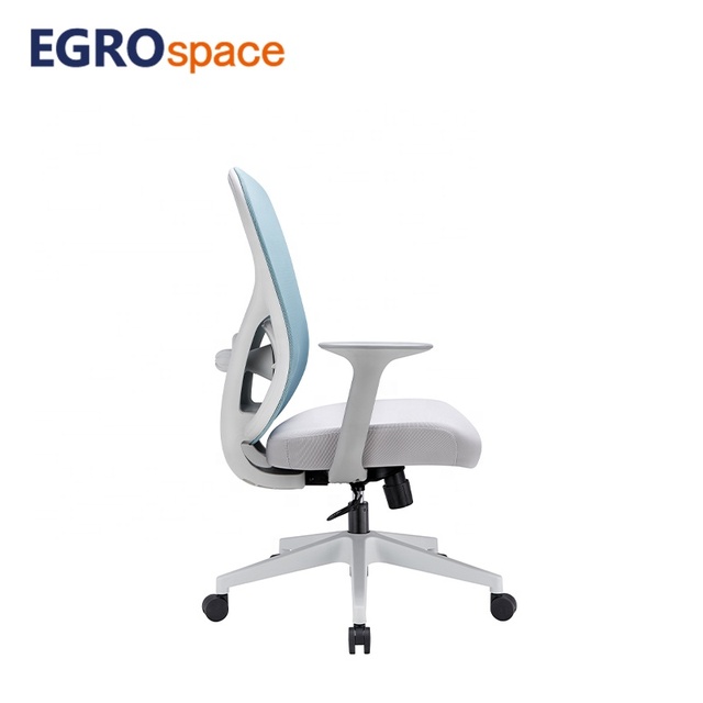 EGROspace Modern Lumbar Support Furniture Visitor Swivel Mesh Manager Staff Ergonomic Office Chair