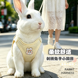 Laisse pour lapin, spécialement conçue pour promener les animaux de compagnie, notamment les petits lapins nains, corde anti-évasion, porte-lapin, extérieur - Product Image 1