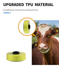 HT001 étiquettes d'oreille électroniques RFID pour <span class=keywords><strong>animaux</strong></span> nouvelle mesure de la température en plastique et comptage des pas pour les bovins et les moutons - Product Image 4