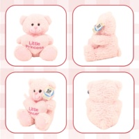 Ours en peluche personnalisé ODM OEM ourson en peluche bleu rose brodé coeur certifié CE anti-stress saint valentin 15-35cm dessin animé