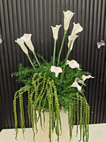 Desain Baru Bunga Tulip Calla Lily Sutra Putih Hijau Buatan untuk Dekorasi Pernikahan Berkualitas Tinggi Tahan Lama QSLH