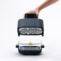 Friteuse à air électrique multifonctionnelle chinoise saine et faible en gras, avec fenêtre transparente en verre, 4L