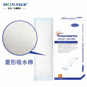 Hongsheng Perineal Cold <b>Pad</b> 250g Medical Grade For Postpartum Women Disposable Ice Pack - Product Image 2