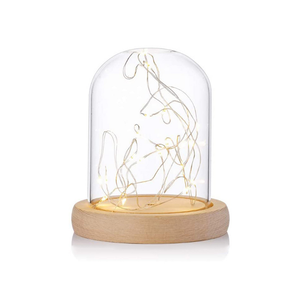 Dôme en verre soufflé artisanal sur base en bois, tailles personnalisables, thème lettres, globe lumineux à LED, Nouvel An chinois/Noël OUXING - Product Image 2