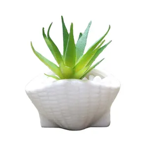Pot de plantes succulentes en céramique de glaçure blanche 7.5*4.8*4.5cm, mini pot de fleur en céramique de coquillage en céramique pour l'artisanat et le cadeau de succulentes, d'herbes et de cactus