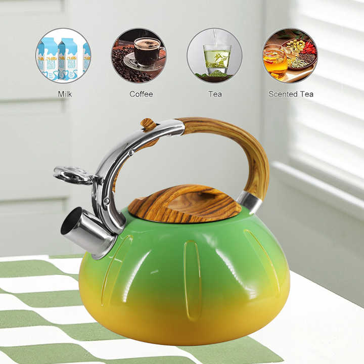 Boil Dry Bella Ceramic Kettle Canada ベラ 電気ケトル セラミック