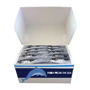 Fisch Plastik verpackungs box Meeres früchte Correx Verpackungs box