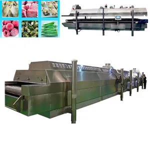 Deep Freezer Tunnel Liquid Nitrogen Vegetables And Fruits Individual Quick Freezing Machine