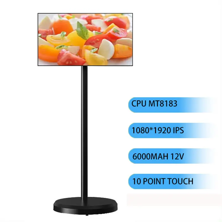 21,5 Zoll Smart-TV Haushaltsgeräte Plasma-TV-Touchscreen drahtloser tragbarer eingebauter Kamera Hd Stand-By-Me-TV Smart