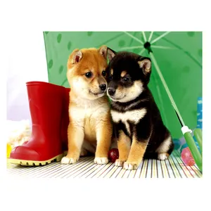 5dダイヤモンドクリスタルペインティングDIY2つの小さな柴犬が緑の傘の下で抱きしめる装飾的な壁のアート