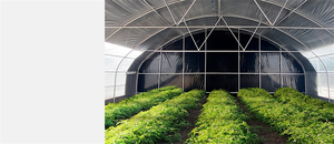 โครงการแบบครบวงจรเรือนกระจกอัตโน<span class=keywords><strong>ม</strong></span>ัติเต็<span class=keywords><strong>ม</strong></span>รูปแบบ<span class=keywords><strong>เร</strong></span>ือนกระจกตั<span class=keywords><strong>ด</strong></span>แสง<span class=keywords><strong>เร</strong></span>ือนกระจก - Product Image 4