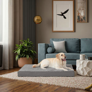 Cama ortopédica para perros para mascotas medianas y grandes, resistente al agua, 20D, caja de huevos, espuma Rectangular, diseño ecológico, fondo antideslizante para gatos - Product Image 3