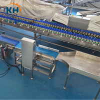 Máquina Clasificadora de Peso Automática Tipo Caja, Fácil Operación para Fábricas de Procesamiento de Alimentos Medianas y Pequeñas
