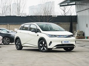 Nuova BYD Dolphin 2026 Edizione Smart Driving 2025, Versione Fashion 410km, Auto Elettrica Pura BEV - Product Image 4