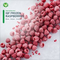Frambuesas Rojas y Negras Congeladas Frescas y Puras al por Mayor de Fábrica XMSD, Deliciosas, Sin Semillas, Sin Azúcar, Congelación IQF, Precio al por Mayor