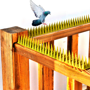 40cm Solide Katten- & Vogelafschrikker Tuin Anti-Vogelspikes - Ecologisch Dierenbestrijding - Product Image 6