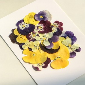 Matériaux pour boucles d'oreilles et bracelets <span class=keywords><strong>DIY</strong></span> en résine, <span class=keywords><strong>fleurs</strong></span> <span class=keywords><strong>séchées</strong></span> véritables, <span class=keywords><strong>fleurs</strong></span> pressées, accessoires sur le thème de la forêt éthérée - Product Image 3