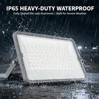 Projecteur LED Super Lumineux 200W-600W IP65 Étanche pour Stades Extérieurs avec Driver Isolé et Protection Contre les Surtensions 4000V