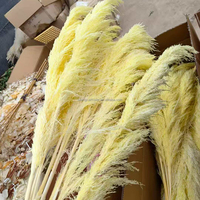 Grande herbe de pampa naturelle 2-4ft Grande vente de fleurs sèches pour la décoration intérieure Boho Decor Wedding Arch Floral Arranging Pampas Bouquet