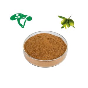 חינם מדגם עץ זית עלה תמצית 40% oleuropin תוספת בריאות אבקת באריזת תוף אספקת מזון כיתה - Product Image 3