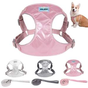 Ensemble de <span class=keywords><strong>harnais</strong></span> <span class=keywords><strong>pour</strong></span> petits chiens imperméable et respirant <span class=keywords><strong>pour</strong></span> chiots et chats gilet <span class=keywords><strong>harnais</strong></span> de marche <span class=keywords><strong>Yorkshire</strong></span> carlin laisse laisse <span class=keywords><strong>pour</strong></span> animaux de compagnie - Product Image 1