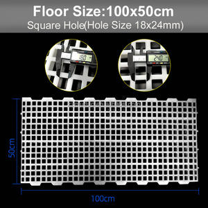 肉鸡农场塑料板条漏粪板家禽板条地板 - Product Image 2