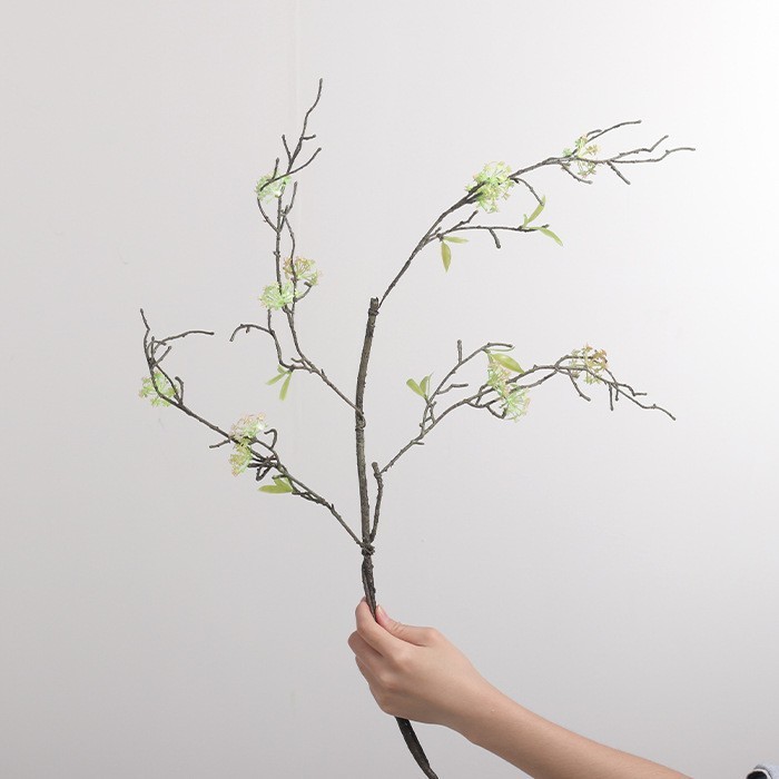 Murraya paniculata à petites fleurs, 85cm