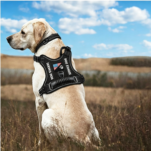 New Explosion-Proof Shock Absorbing Dog Towing With Night Vision Reflective Pet Dog Vest - Product Image 5
