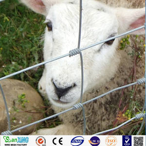 Panneaux de clôture de ferme galvanisés à chaud-<span class=keywords><strong>Hauteur</strong></span> durable de 1.<span class=keywords><strong>2m</strong></span> pour la protection des fermes de moutons, de chèvres et de volaille - Product Image 3