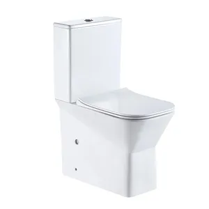 comfortable washdown two piece toilet for bathroom