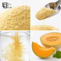 Promotion : Poudre de jus de melon miel naturel, idéale pour les boissons, la pâtisserie, les confiseries, le thé au lait et les milkshakes