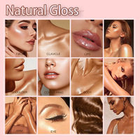 Poudre illuminatrice minérale naturelle en gros, teint clair, visage, corps, brillance, illuminateur bicolore, palette de maquillage, blush