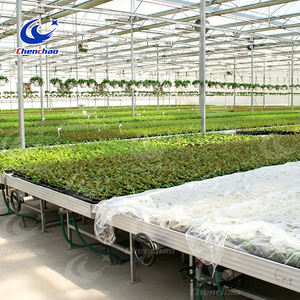 <span class=keywords><strong>Table</strong></span> de culture mobile 4x8 pour serre, système de culture par flux et reflux pour la culture de plantes médicinales - Product Image 4