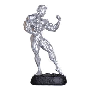 Vente chaude Trophée Creative Bodybuilding Champion Trophée Cadeau Décoratif Commémoratif - Product Image 2