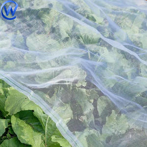 Китайская большая белая тканая сетка для защиты растений от насекомых, устойчивая к УФ-излучению, для фруктовых деревьев, защита от птиц и насекомых - Product Image 2