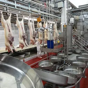 carne de cerdo planta de procesamiento