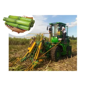 2023 New technology wheel/track sugarcane/corn harvester Cane Harvesting Sugarcane Cutting Machine