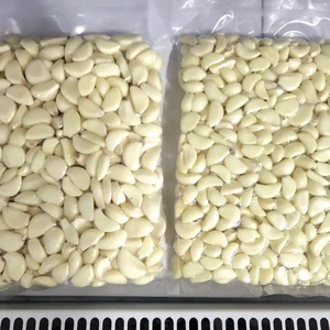 Usine d'<span class=keywords><strong>ail</strong></span> entier frais du Shandong <span class=keywords><strong>Ail</strong></span> pelé <span class=keywords><strong>Ail</strong></span> blanc pour le marché de Dubaï - Product Image 4