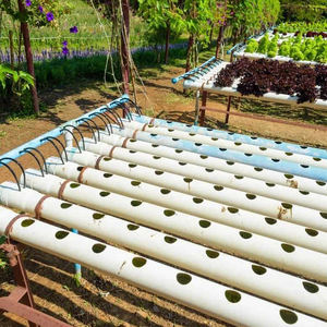 Système <span class=keywords><strong>de</strong></span> semis en plastique Idroponico Drain Stands Flood Table Pvc Pipe Garden Hydroponic Planting System Price - Product Image 2