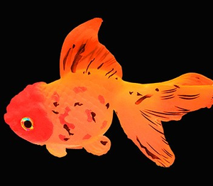 <span class=keywords><strong>Pesce</strong></span> Rosso Galleggiante Realistico Moderno e Leggero che si Illumina al Buio, Ornamento per Acquario, <span class=keywords><strong>Pesce</strong></span> Colorato in Silicone - Product Image 2