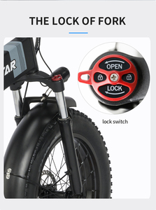 Vélo pliant sportif Ridstar 48V longue portée en aluminium léger pour 2 places H20 Italie Pays-Bas Royaume-Uni P - Entrepôt européen - Product Image 4