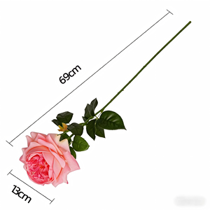 ดอกกุหลาบจูเลียตประดิษฐ์สัมผัสเหมือนจริง ให้ความชุ่มชื้น หรูหราเบาๆ เหมาะสำหรับช่อดอกไม้งานแ<span class=keywords><strong>ต</strong></span>่งงาน อุปกรณ์ประกอบฉากถ่ายภาพ ของตกแ<span class=keywords><strong>ต</strong></span>่งโต๊ะกลาง งานปาร์ตี้ที่บ้าน - Product Image 2