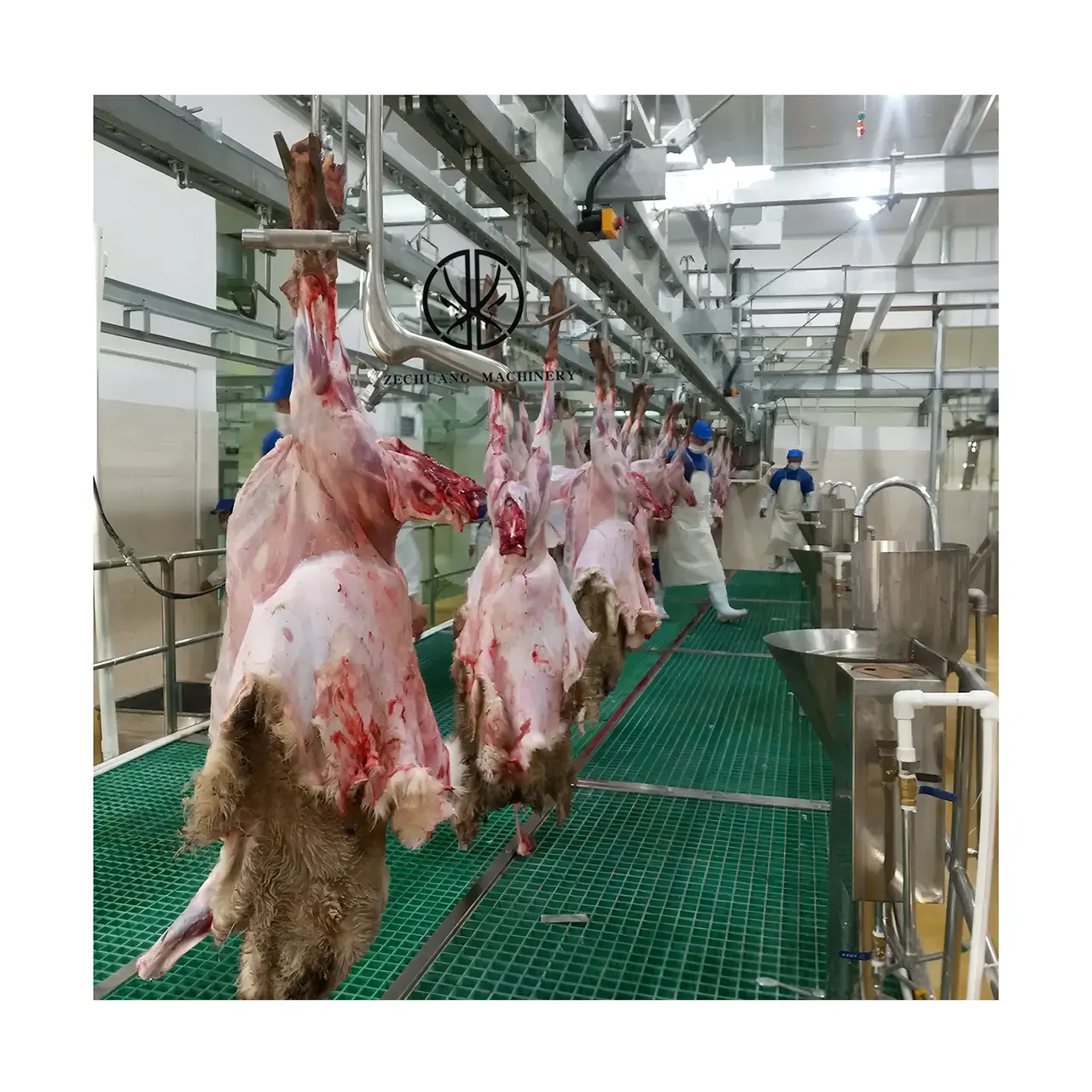 Factory Outlet Meat Deep Processing Komplette Ziegen schlacht linie Schlachthof ausrüstung Projekt design Schaf häutung maschine