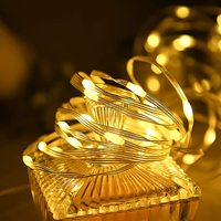 Neue Weihnachtslichter Led Led-Lederlinienlichter Indoor-Outdoor-Wasserdichte Lampe mit Fernbedienung